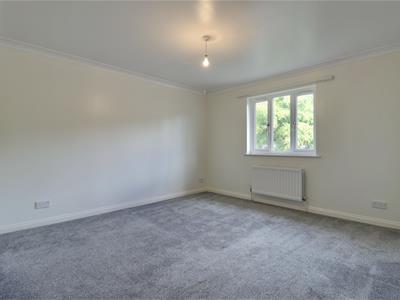 Picture 24